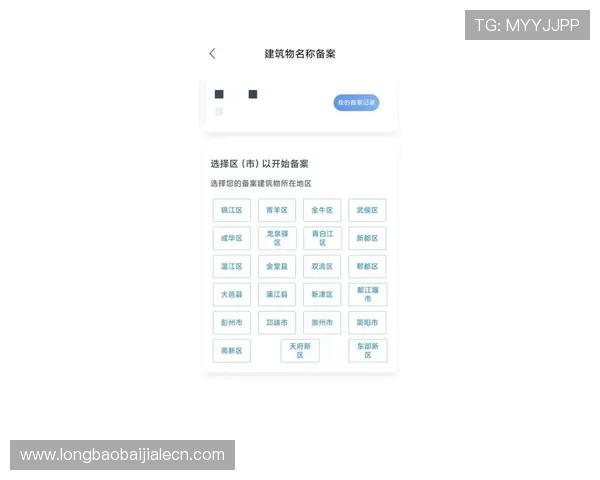 详解百家乐模拟器的操作指南帮你轻松上手游戏不迷路